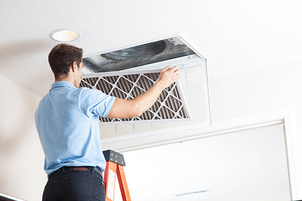 Best HVAC Air Duct Cleaning  in Daytona Beach, FL